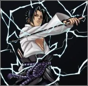 Comment s'appelle cette attaque ?