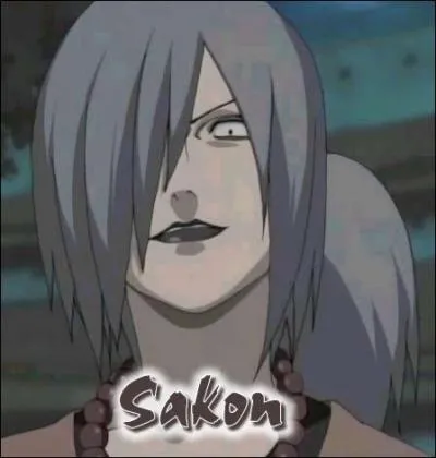 Sakon et Ukon font partie de quelle porte ?