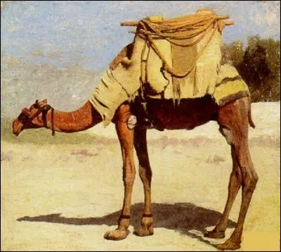 Qui a peint "Chameau" ?