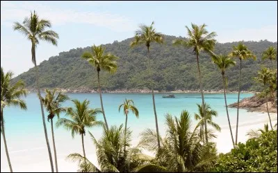 Lequel de ces pays ne se situe pas en Asie ?