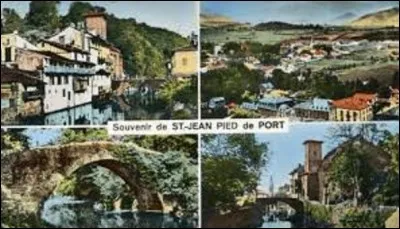 Géographie : 
Dans quel département de la région Nouvelle-Aquitaine se situe la ville de Saint-Jean-Pied-de-Port ?