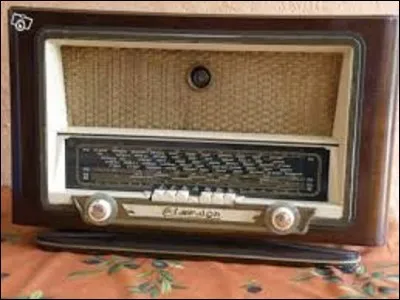 Émission de radio : 
''Les Pieds dans le plat'' était une émission radiophonique diffusée sur Europe 1 du 26 août 2013 au 9 juin 2016. 
Quel présentateur animait ce programme ?