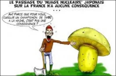 Nature : 
Le pied-de-mouton est un champignon comestible de la famille des Hydnaceae, qui se récolte généralement dès la fin de l'été. 
De ces trois champignons présentés ci-dessous, lequel est-ce ?