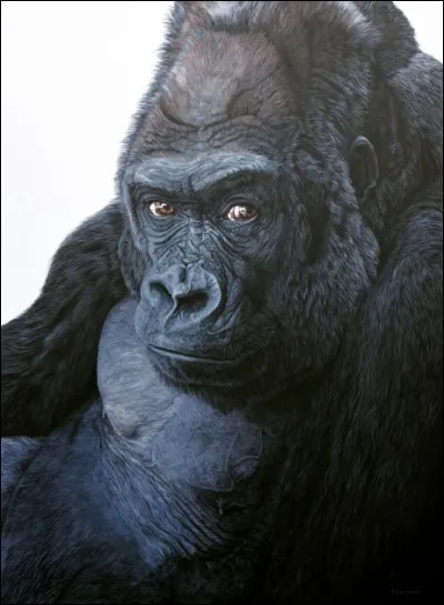 C'est l'actrice Holly Hunter qui interprète le rôle principal du film "Gorilles dans la brume"...