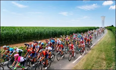 Lequel de ces coureurs a dominé les sprints sur cette Vuelta avec trois succès dans des sprints massifs ?