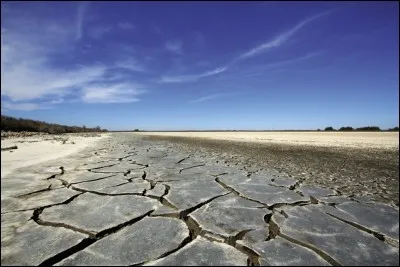 Quel est ton élément préféré ?
