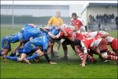 Dans les régions polaires, l'ensemble des glaces flottantes arrachées à la banquise par les courants marins s'appelle...