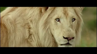 Quel est l'âge de Charlie ?