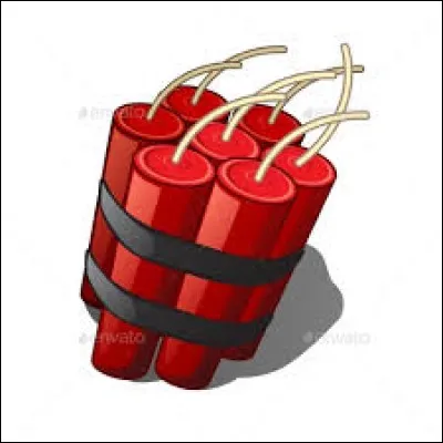 Que voyez-vous sur cette image ?