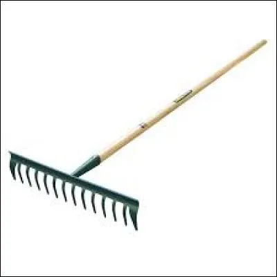 Que voyez-vous sur cette image ?