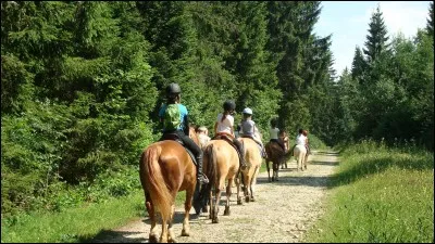 En balade, Miracle n'avance pas.