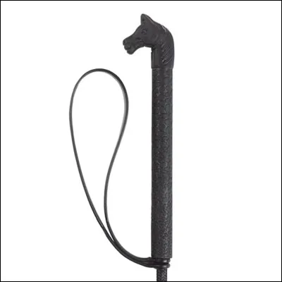 Comment s'appelle cet objet ?