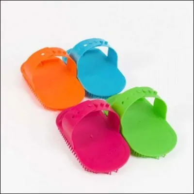 Quelle est la bonne orthographe de cette brosse ?