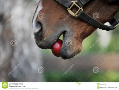 Lequel de ces endroits est la carrière ?