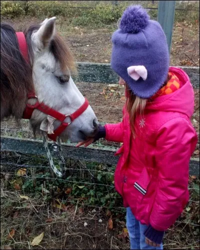À l'attache, il faut...