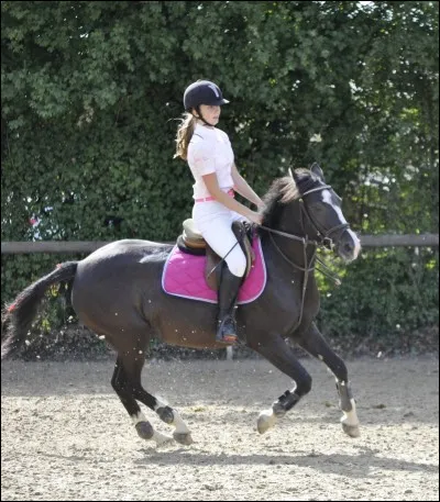 À poney, que faut-il faire pour qu'il avance ?