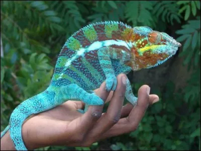 Ils vous souhaitent la bienvenue, biloutes !