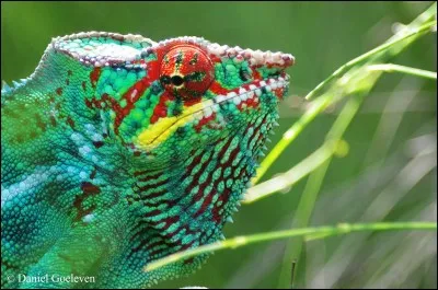 Attribut du commerce et du transport !