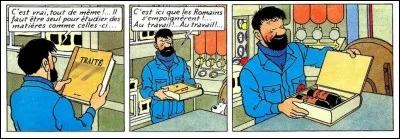 Des années plus tard, Haddock ne résiste toujours pas à ses vieux démons... Mais quel titre porte cet "ouvrage" ?
