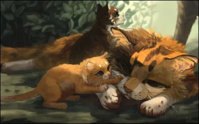 Comment Nuage de Graines est-elle morte ?