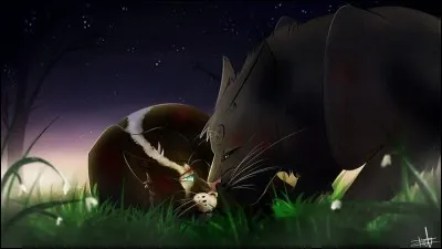 À quel clan appartenait Croc de Blaireau ?