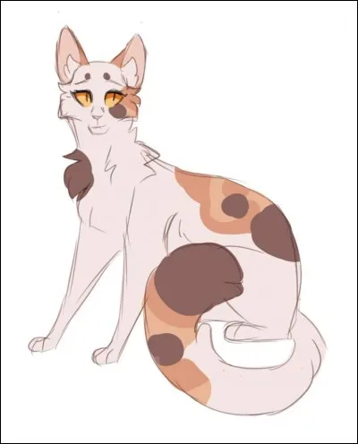 Qu'est-ce qui a rendu malade Nuage de Mousse jusqu'à la tuer quelques jours plus tard ?