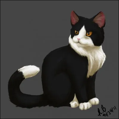 Nuage de Loir était le frère de Pavot Gelé, Pelage de Miel et Cur Cendré.