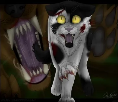 Comment se nommait l'apprenti du clan du Tonnerre tué par des chiens ?