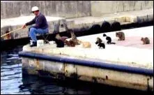 Que fait cet homme ?