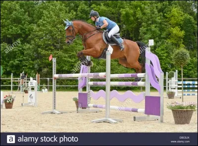 Quel obstacle est-ce ?