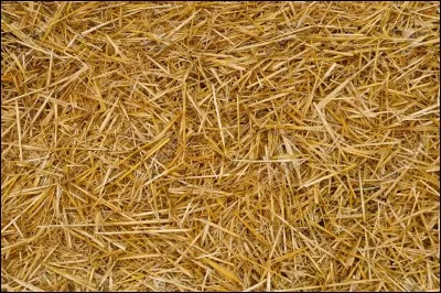 Est-ce de la paille ou du foin ?