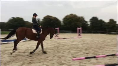 À quelle allure est ce cheval ?