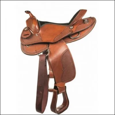 C'est une selle ... !