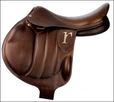 Lequel de ces mots fait partie de la même famille que "selle" ?