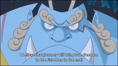 L'ancienne prime de Jimbei était de 300M de berry.