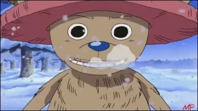 Le docteur Hiluluk est le grand sauveur de Chopper.