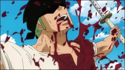 Don Krieg est le principal antagoniste de l'arc Baratie.