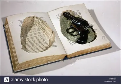 Retrouvez le crime dans le titre d'un roman de Georges Simenon ?