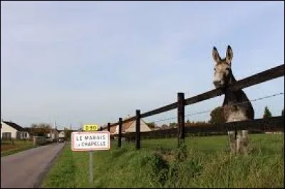 Cet âne nous souhaite la bienvenue au Marais-la-Chapelle. Nous sommes dans le Calvados, dans l'ancienne région ...