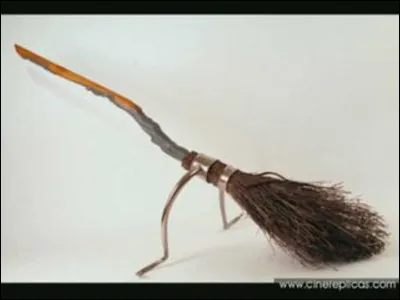 Qui offre à Harry son éclair de feu ?