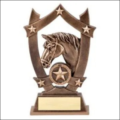 Lors de certains concours d'équitation, le trophée est un fer à cheval avec une tête de cheval à l'intérieur.