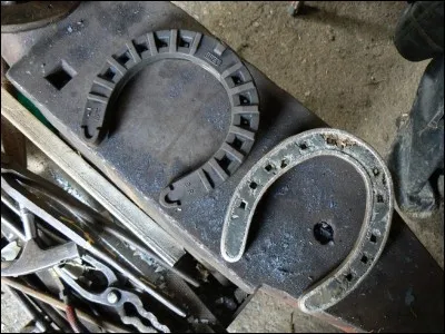 Si un cheval a besoin de seulement deux fers, il est tout de même obligé d'en porter quatre.