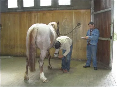 Vu que c'est moi qui chausse les chevaux de leurs fers, je suis cordonnier.