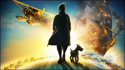 Année : 2011
Genre : Aventure/Capture de mouvement 3D
Acteurs : Jamie Bell, Andy Serkis.
Indices : Reporter, belge, chien, maquette. 
Que suis-je ?