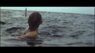 Année : 1975
Genre : Horreur 
Acteurs : Roy Scheider, Robert Shaw.
Indices : Amity, plage, requin, baigneur. 
Que suis-je ?