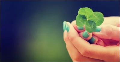 En fait, c'est un gars pas trop veinard qui emm&egrave;ne dans une poursuite un autre gars un peu blas&eacute; qui n'est pas trop pour l'id&eacute;e de faire mumuse avec lui.