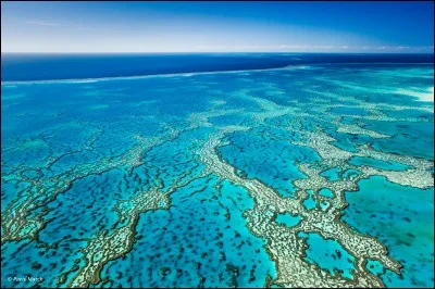 Au large de quelle côte de l'Australie se trouve la Grande Barrière de corail ?