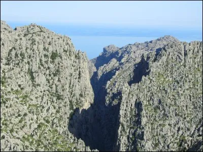 Dans quel territoire ou État australien l'île Torrens se situe-t-elle ?