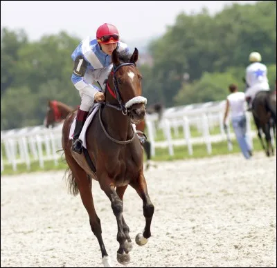 Comment fait-on avancer son cheval ou son poney ?