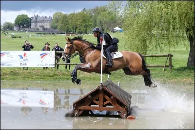 Quelle discipline n'existe pas ?